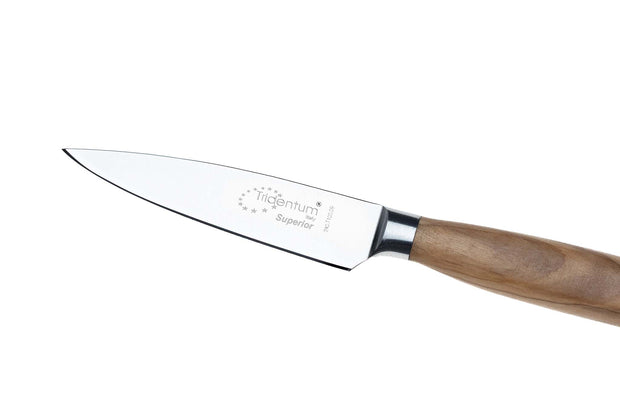Cutit Tridentum 240.T100.09,pentru legume si fructe,lama forjata 9 cm